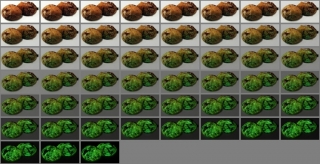 montage
