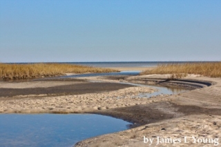 simple-watermark2