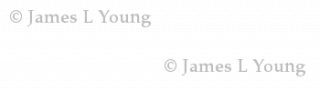 tiled-logo