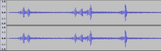 Wave form of strange sound at St. Marks