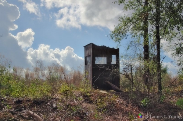 Old hunting blind seen from the Garden of Eden Trail. (12-27-2016) - Bluffs and Ravines Preserve.