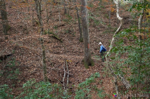Hiker follows winding trail up steep incline on the Garden of Eden Trail. (12-27-2016) - Bluffs and Ravines Preserve.