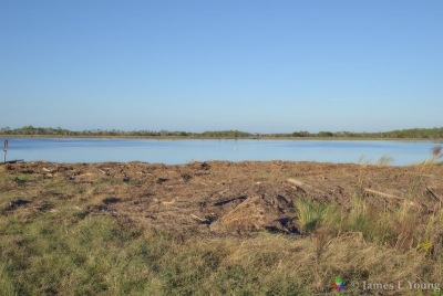 Debris at the end of the double dikes.  This is the first photo that shows the 2018 flamingo.   (10-31-2018) - St. Marks National Wildlife Refuge.