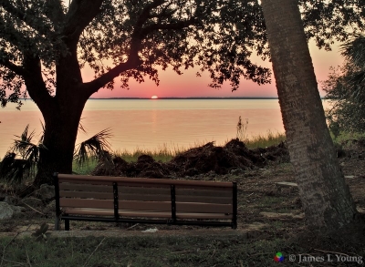 Ranger John McKenzie's bench after damage by huricane Hermine still provides beautiful views. (09-06-2016) - St. Marks National Wildlife Refuge.
