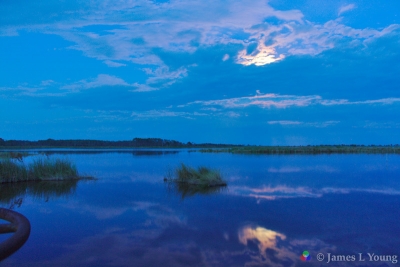 Moon illuminated clouds reflected by water in Stoney Bayou. (7/30/2015) - St. Marks National Wildlife Refuge.