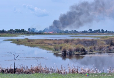 Prescribed burn at lighthouse pool - St Marks NWR.
