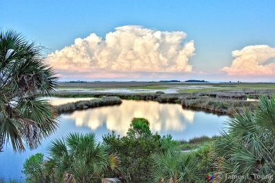 Impressive thunderstorm formation as seen from lighthouse observation deck. (6/7/2015) - St. Marks National Wildlife Refuge.